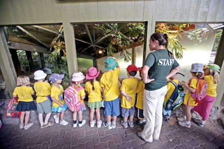 Toronto Zoo - Zoo Camp Gallery Image