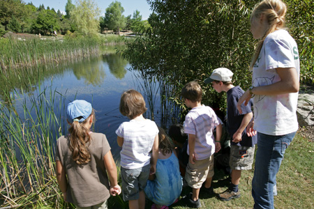 HUMBER ARBORETUM NATURE CAMPS Gallery Image