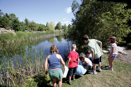 HUMBER ARBORETUM NATURE CAMPS Gallery Image